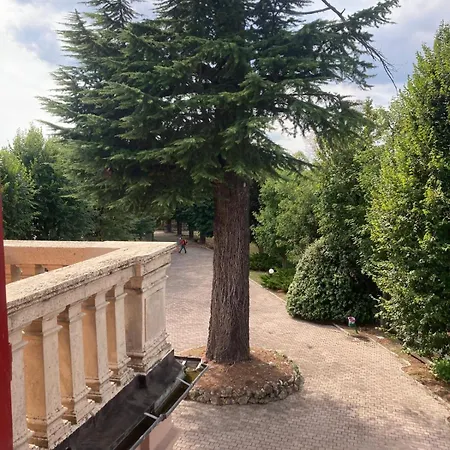 Conte Riccardi Rocca D'Arazzo